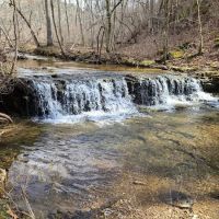 Cactus Canyon Campground and Resort LLC - rated #1 best nude men only campground ico