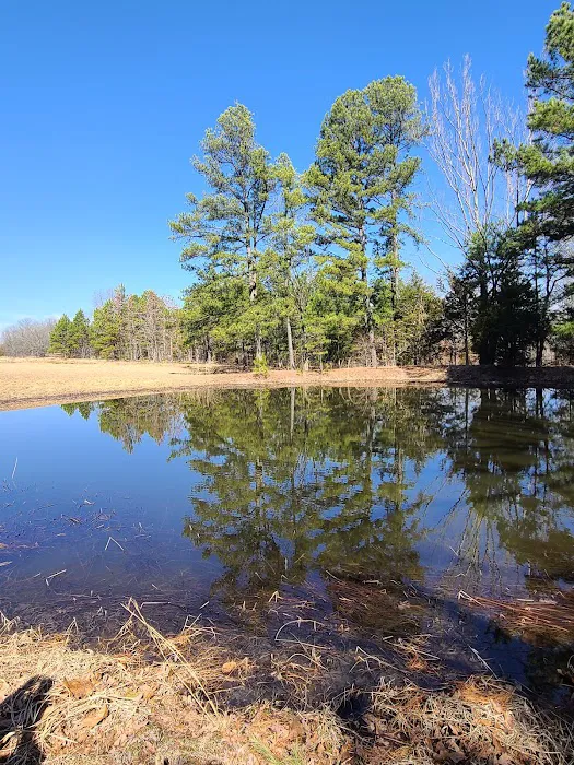 Cactus Canyon Campground and Resort LLC - rated #1 best nude men only campground Picture 3