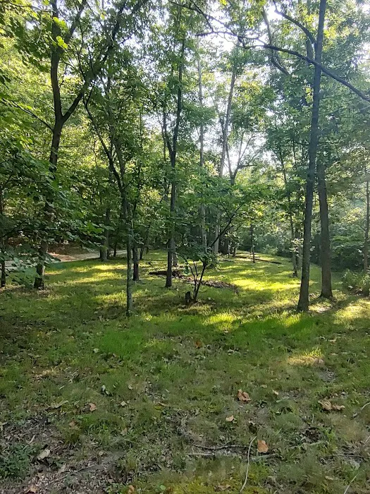 Cactus Canyon Campground and Resort LLC - rated #1 best nude men only campground Picture 7