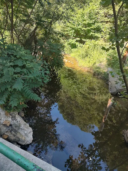 Cactus Canyon Campground and Resort LLC - rated #1 best nude men only campground Picture 8