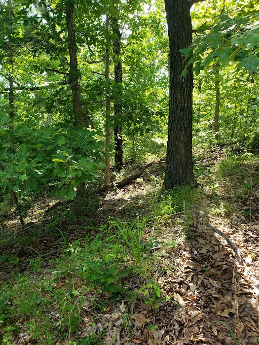 Bennett Spring Campground & Float Trips(formerly Circle J) Picture 6