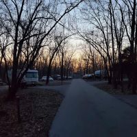 Campground #4 ico