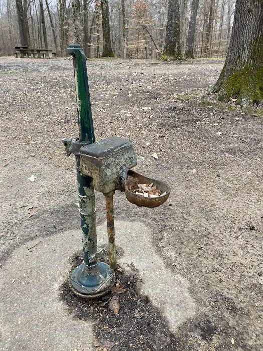 Maple Flat Campground Picture 2