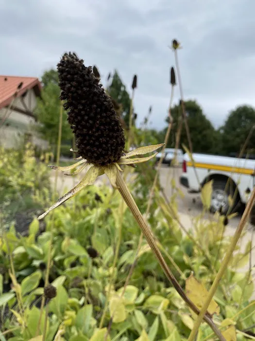 Bear Creek Lake Recreation Area Picture 3