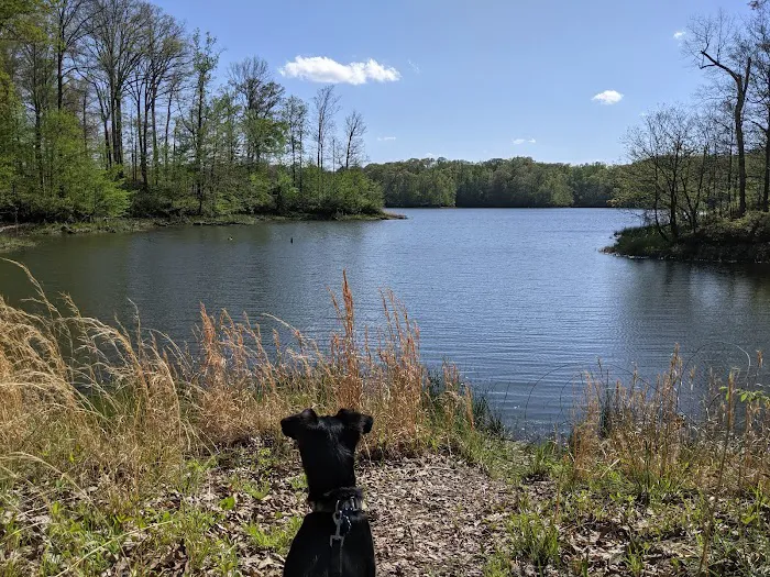Lone Pine Campground Picture 2