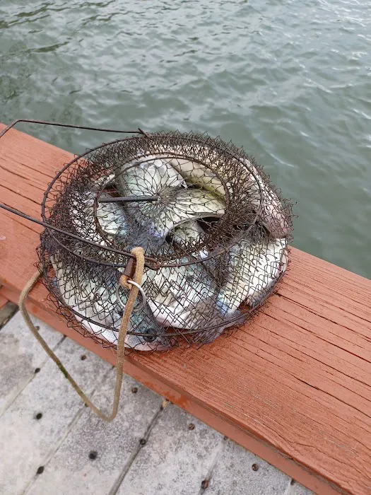 Storm Creek Lake Campground Picture 3