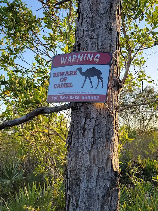 Camel Stop Ranch Picture 6