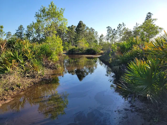 Camel Stop Ranch Picture 7