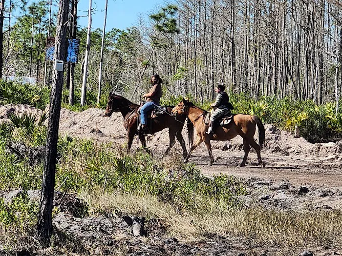 Camel Stop Ranch Picture 8