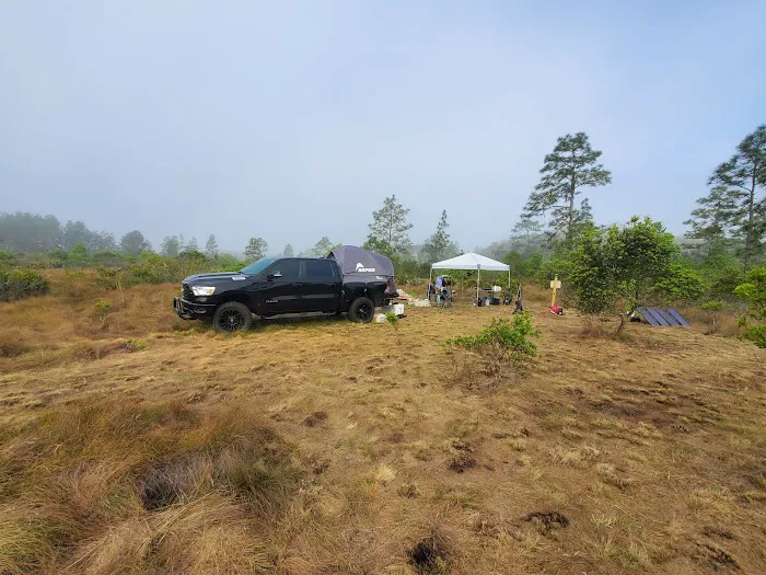 Camel Stop Ranch Picture 2