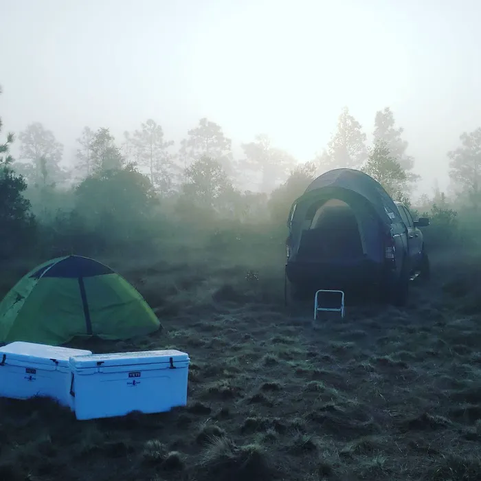 Camel Stop Ranch Picture 1