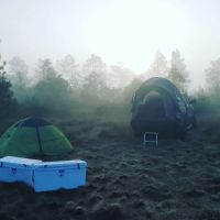 Camel Stop Ranch ico