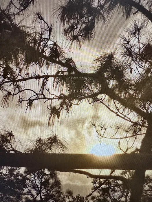 Rivera Ranch 2 Picture 1