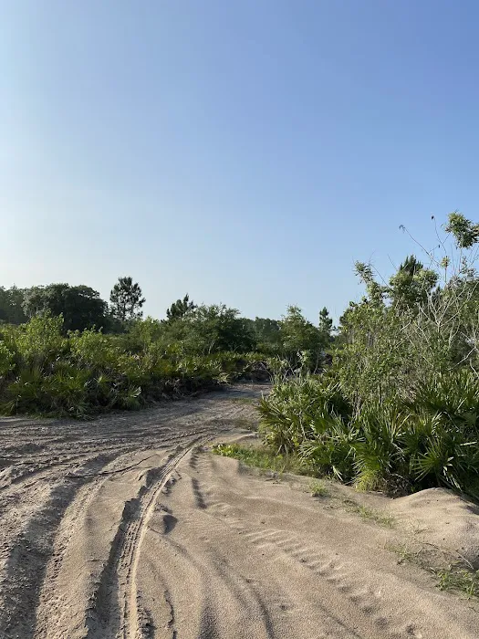 Rancho Tierra Linda Picture 4