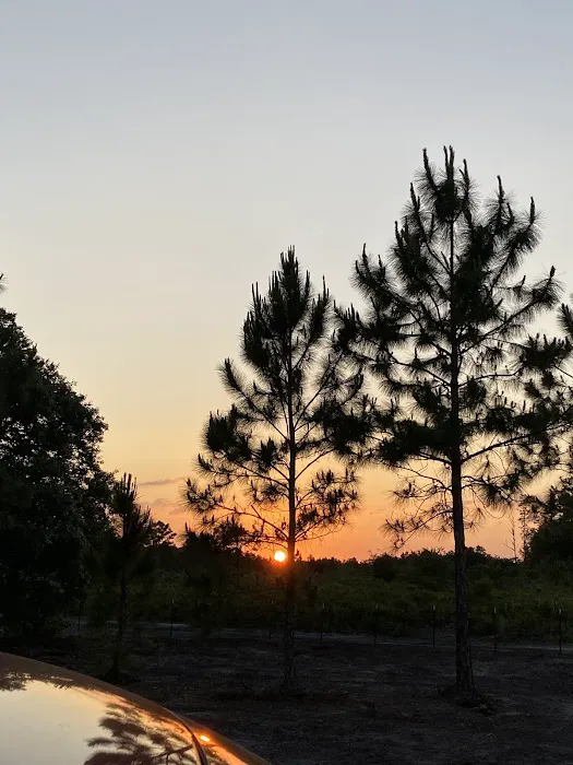 Rancho Tierra Linda Picture 7