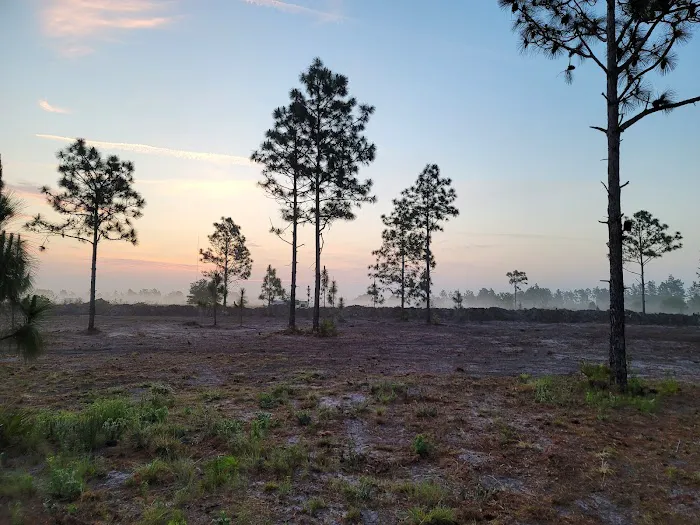 Camp Lucky 77 Picture 4