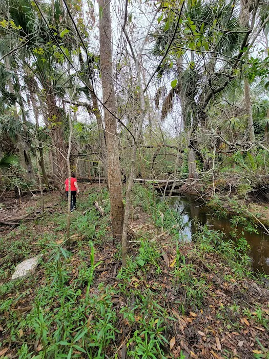 Pellizze Park Picture 8