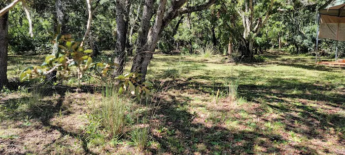 Pellizze Park Picture 3