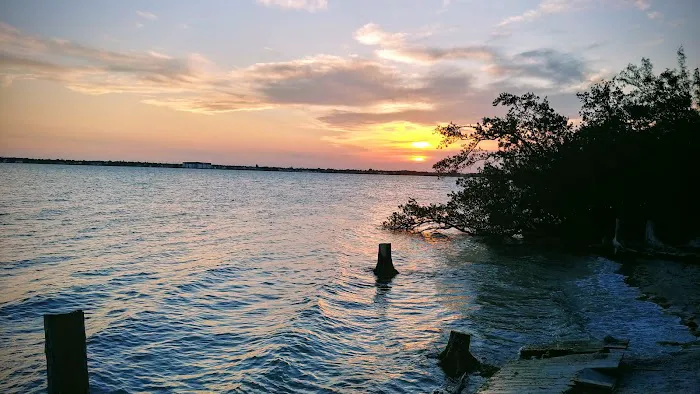 Scout Island Picture 6