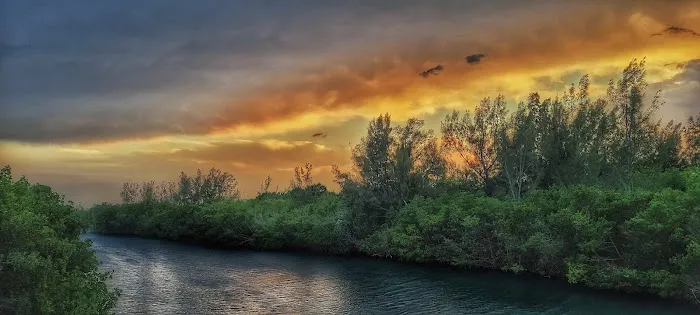 Scout Island Picture 1