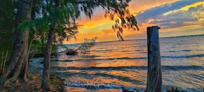 Scout Island Picture 4