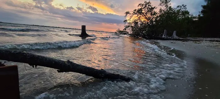 Scout Island Picture 3