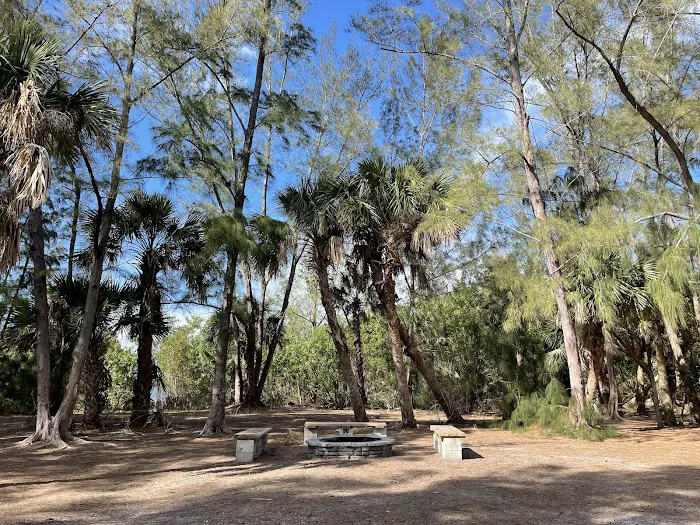 Scout Island Picture 9