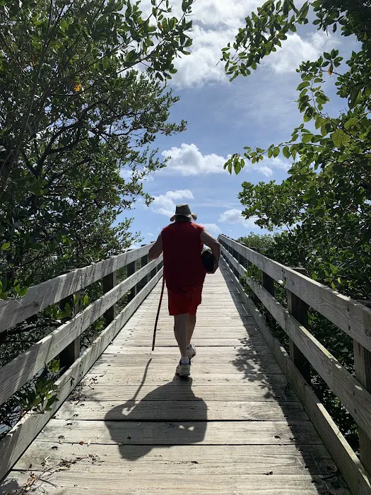 Scout Island Picture 8