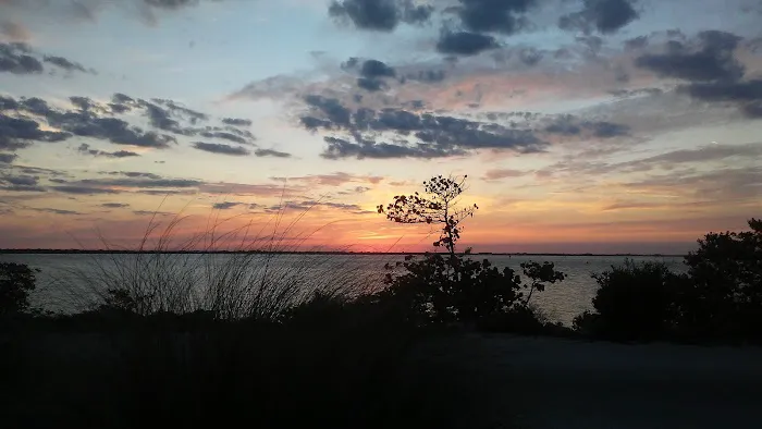 Sebastian Inlet State Park Campground Picture 4