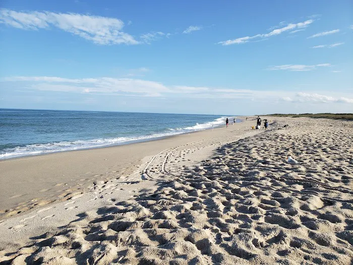 Sebastian Inlet State Park Campground Picture 7