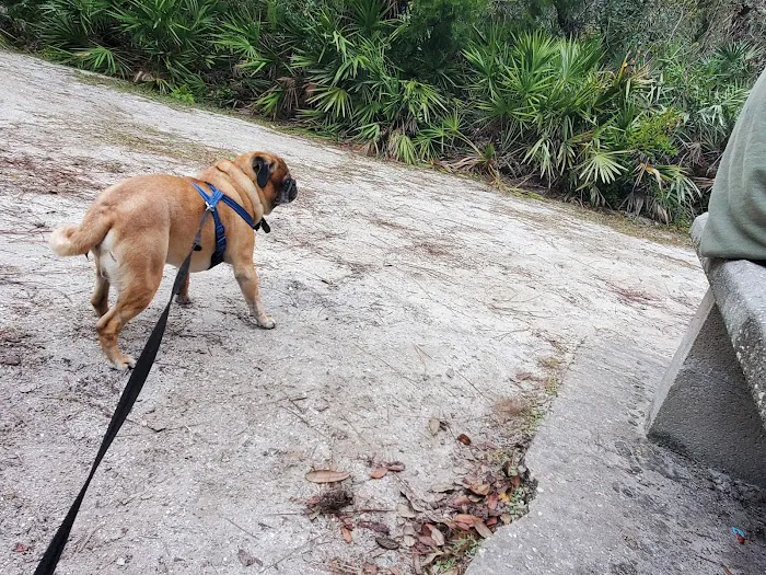 Donald MacDonald County Campground Picture 8