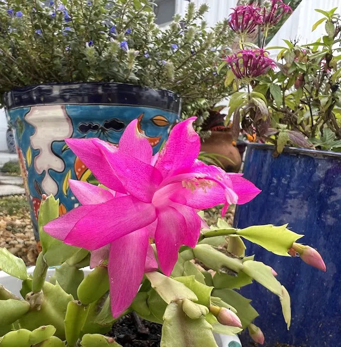 Campground Picture 1