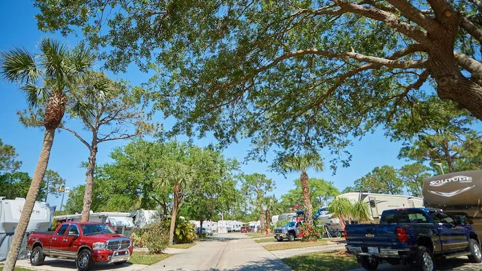 Encore Sunshine Travel Picture 10