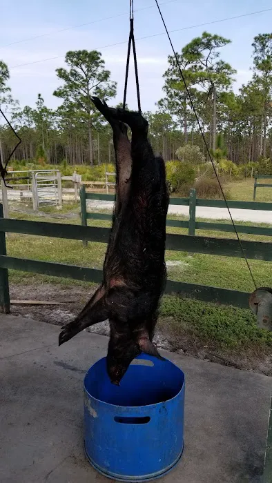 Three Lakes camping 2 Picture 4