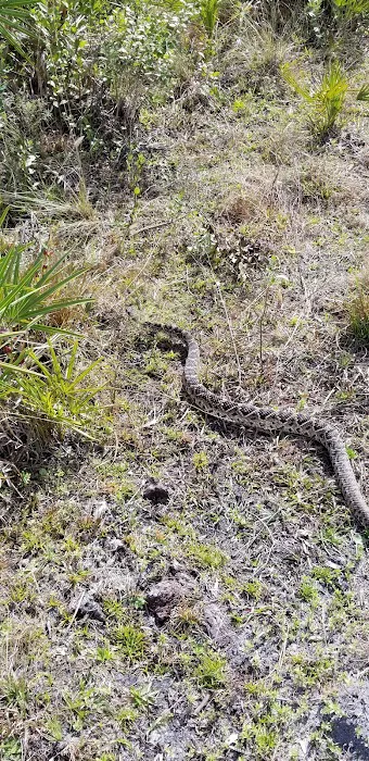 Three Lakes camping 2 Picture 3