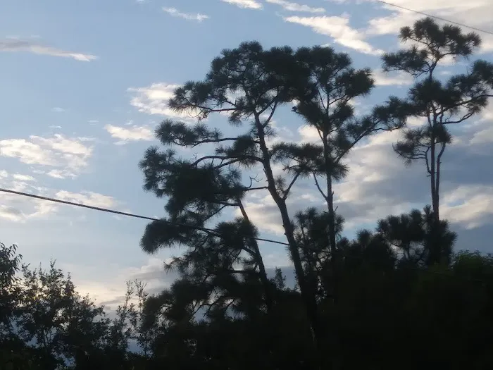 Three Lakes camping 2 Picture 5