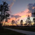 three lakes WMA campground