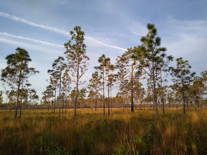 three lakes WMA campground Picture 2