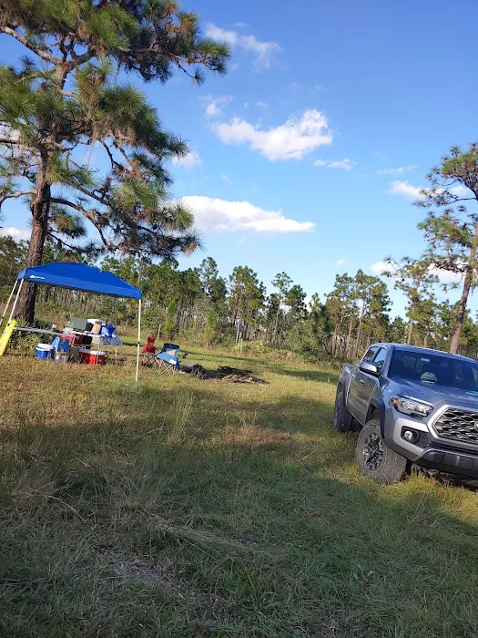 three lakes WMA campground Picture 7
