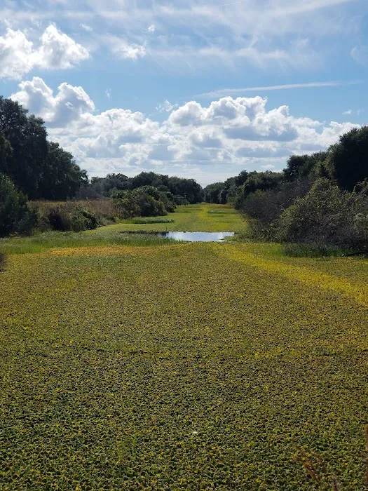 three lakes WMA campground Picture 4