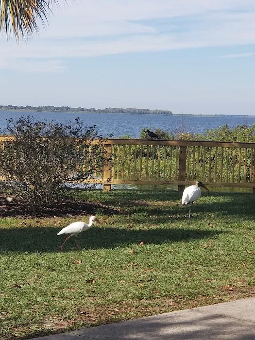three lakes WMA campground Picture 10