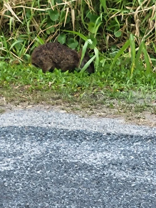 Lake Rosalie Park and Campground Picture 8