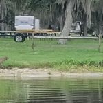 Lake Rosalie Park and Campground