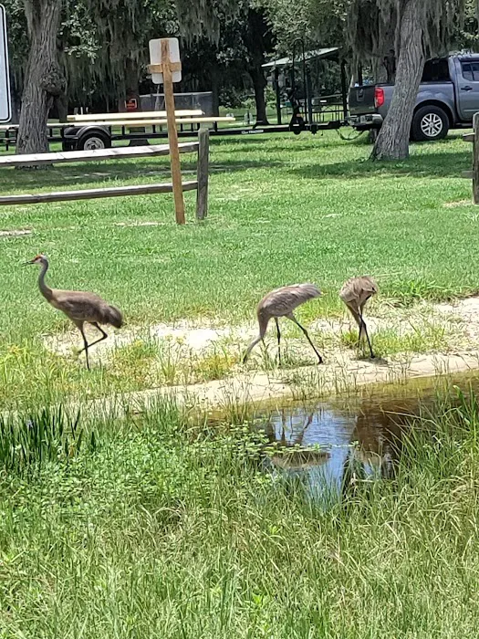 Lake Rosalie Park and Campground Picture 2