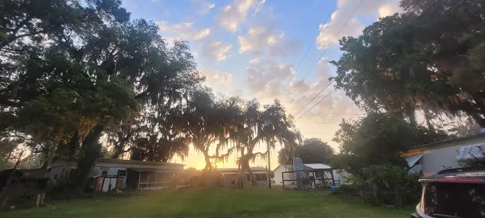 Uncle Joes Fish Camp Picture 5