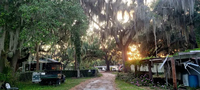 Uncle Joes Fish Camp Picture 4