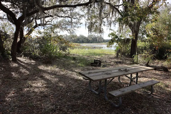 Wood Duck Camp Picture 8