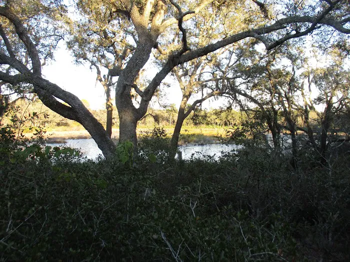 Wood Duck Camp Picture 7