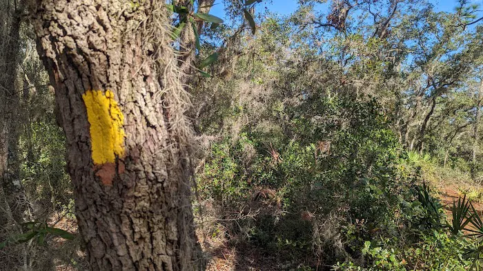 Wood Duck Camp Picture 2