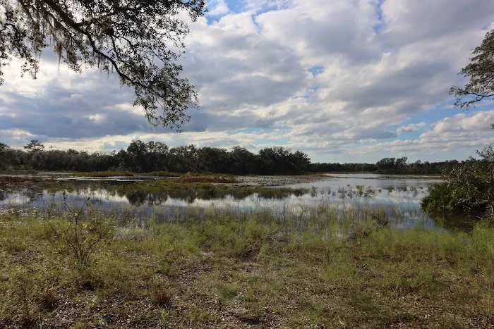 Wood Duck Camp Picture 5